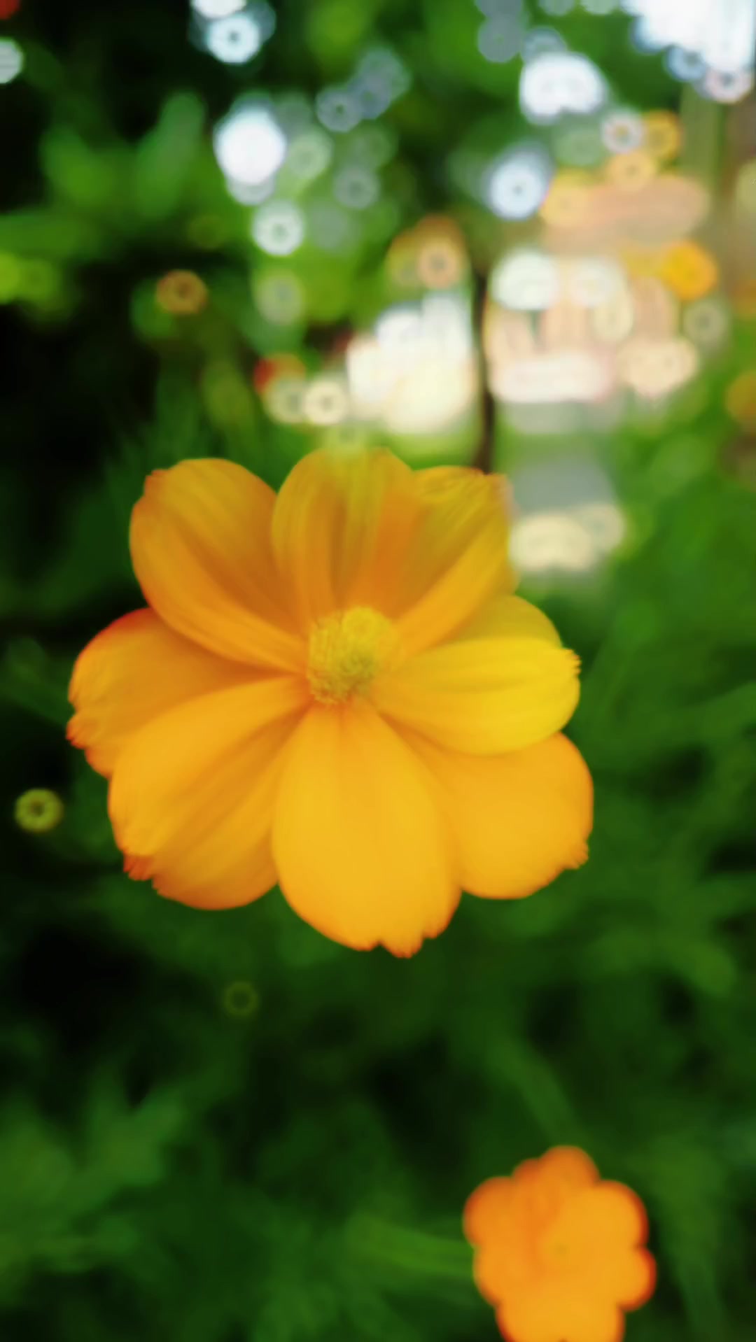 @𝙎𝙤𝙗𝙖𝙩_𝘾𝙊𝘿