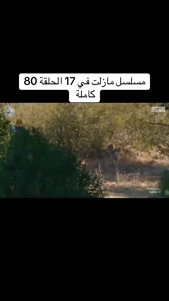 @مسلسل لازال في السابعة عشر
