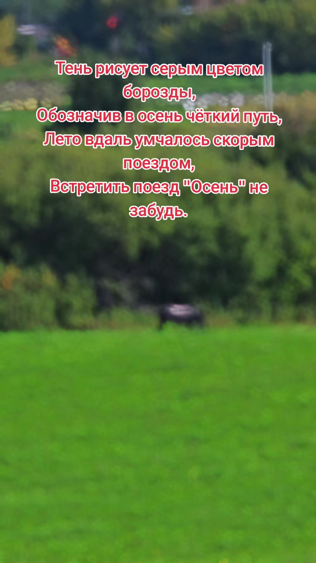 @Яркое Лето