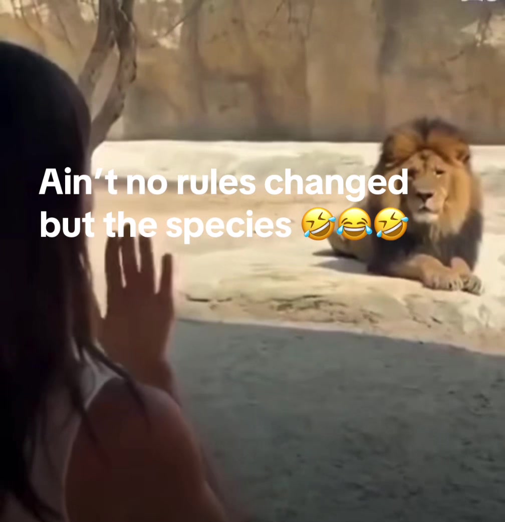 @niecywhat