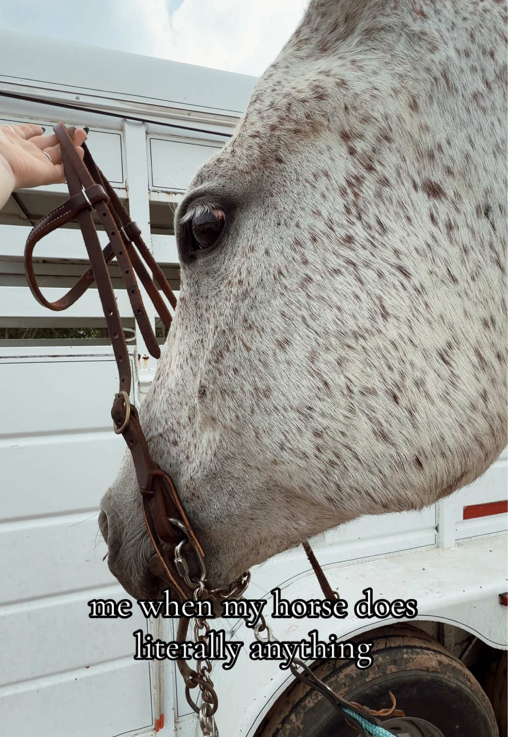 @abs