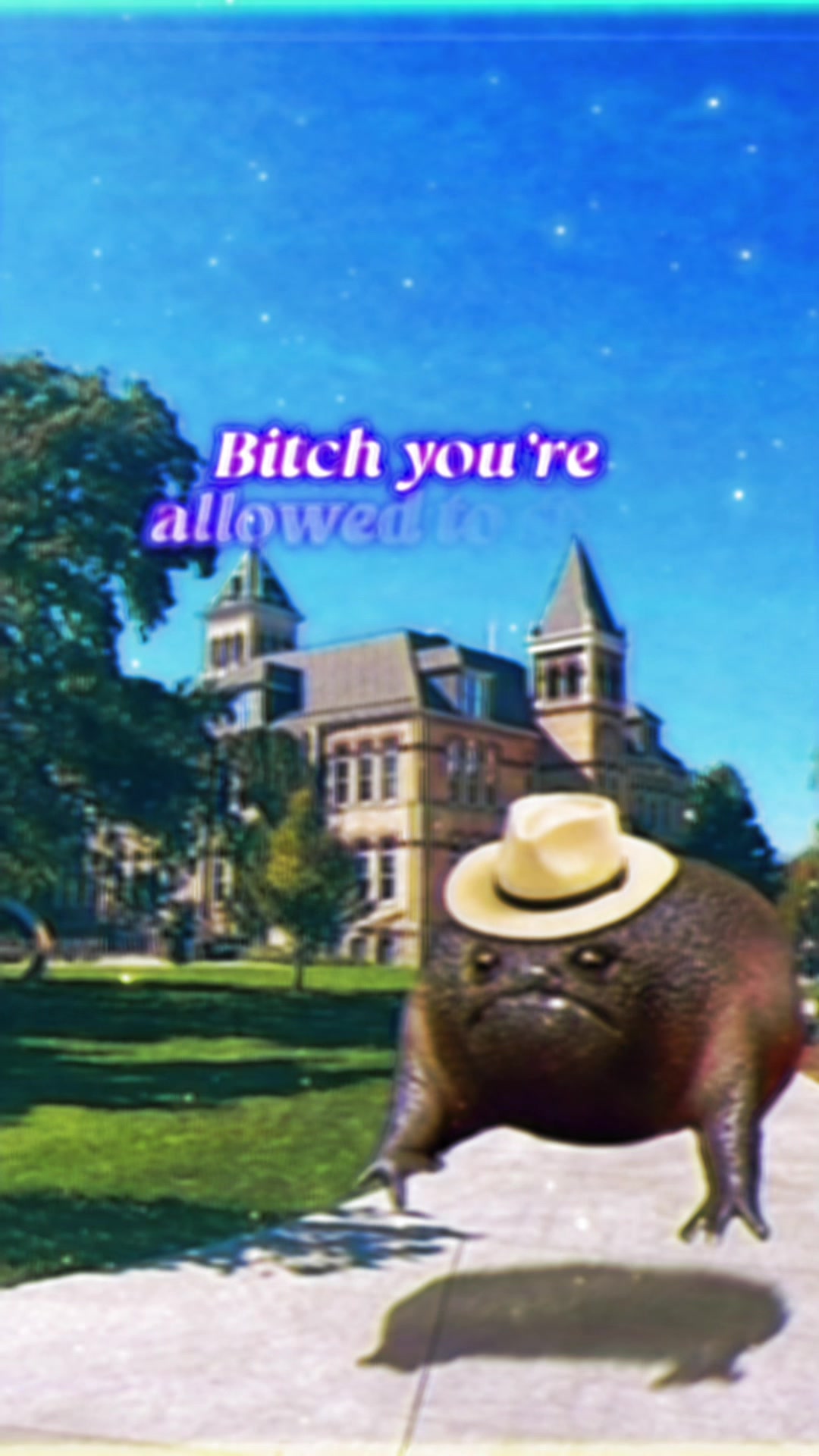 @Holy Frog Father