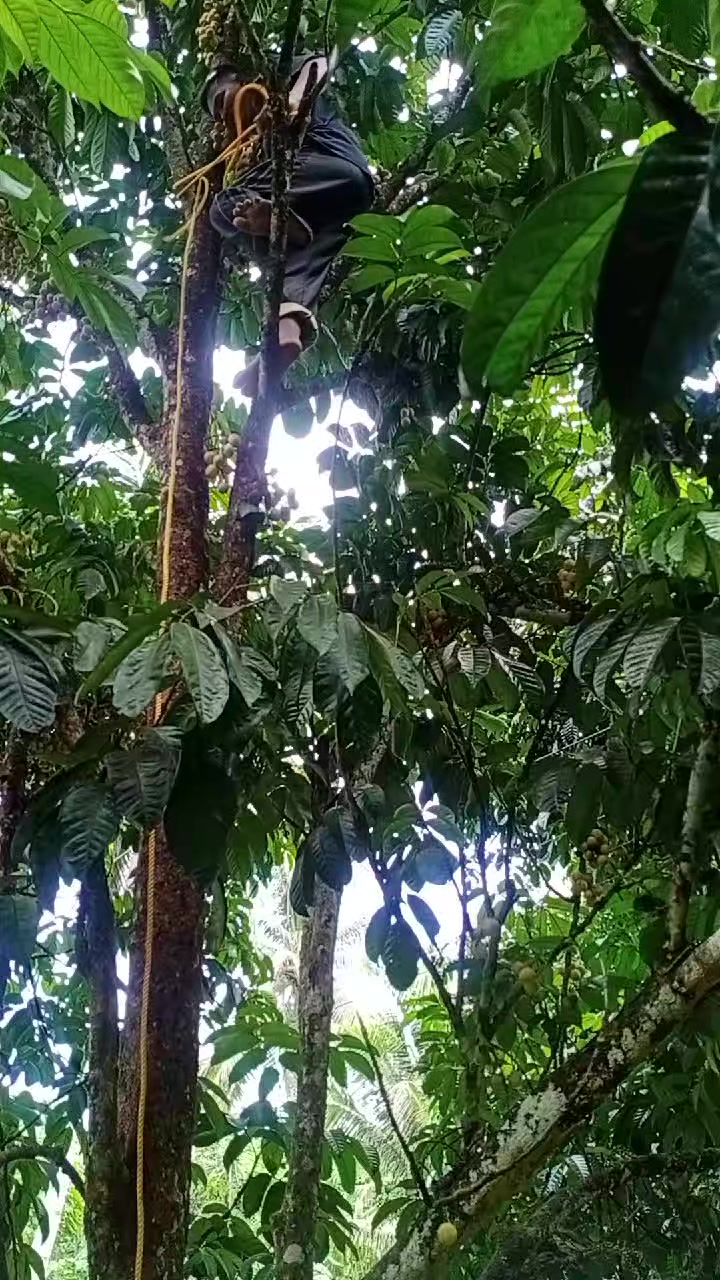 @PiscesAilyn🦋