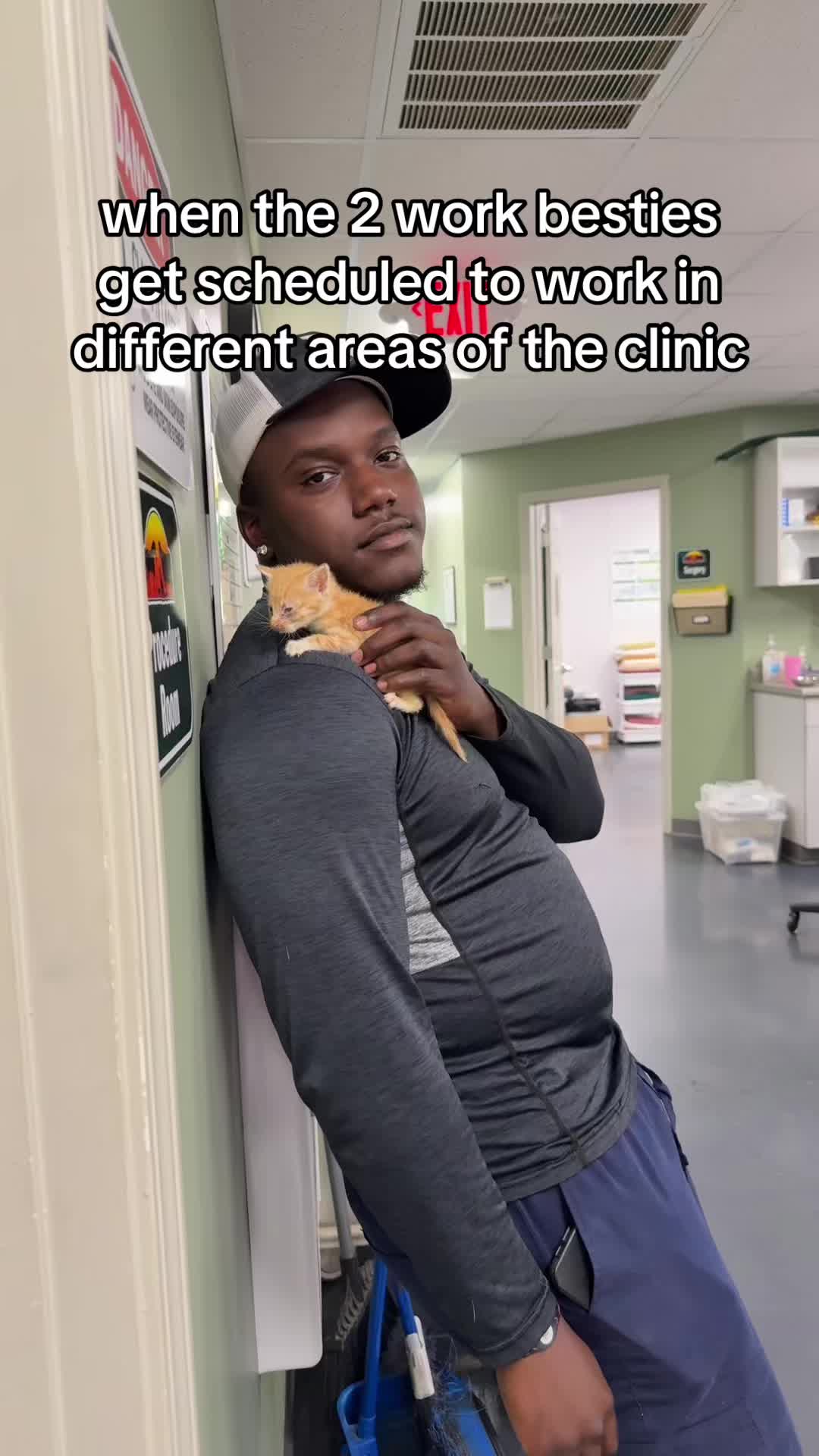 @Triangle Vet