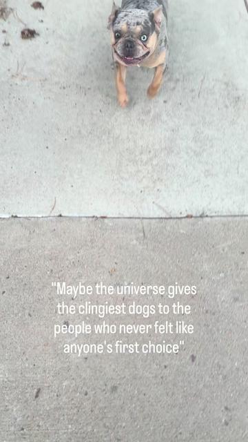 @B