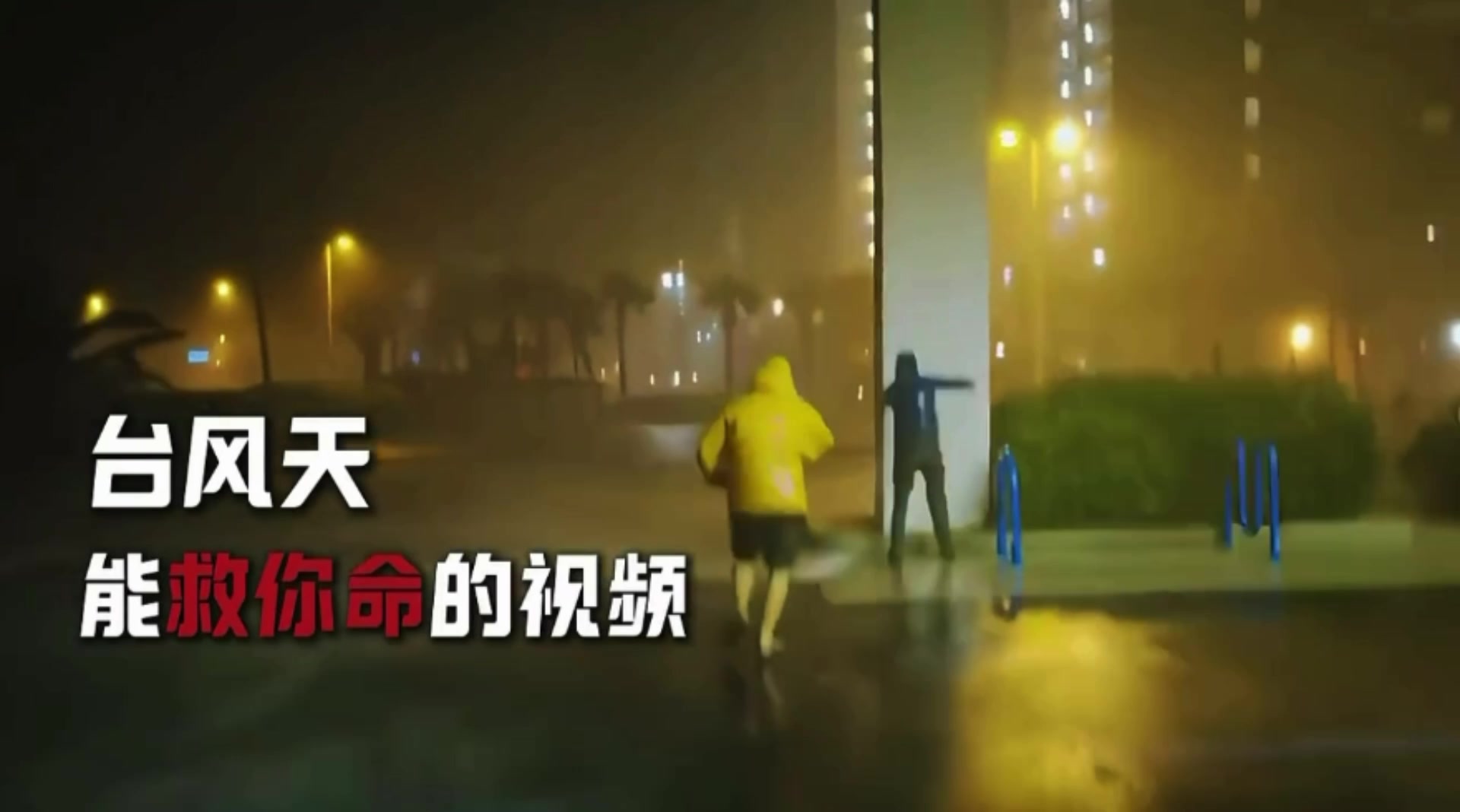 @澳中文传