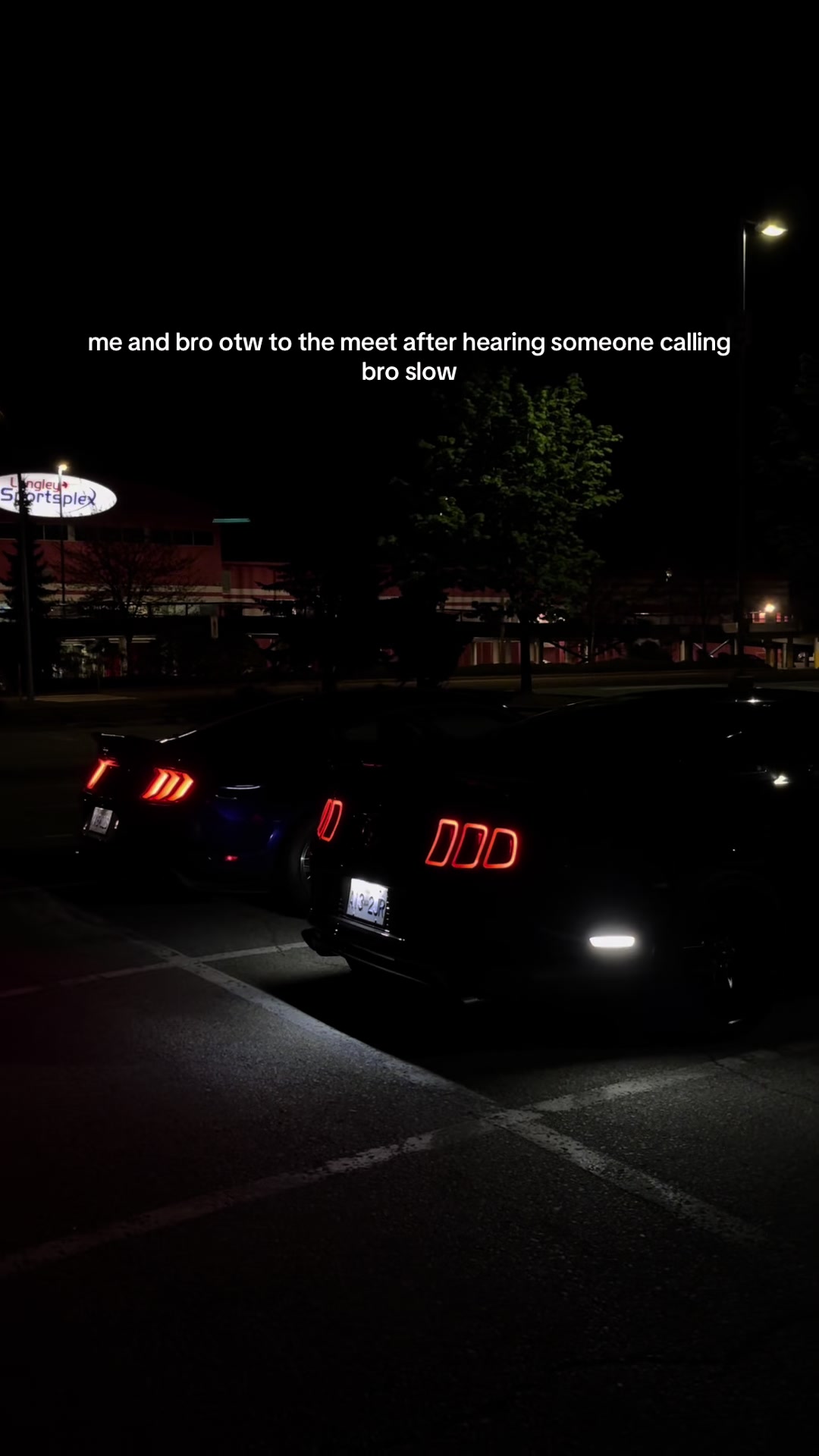 @Selena5.0