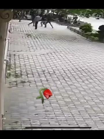 @╚»࿗ т.т.т ࿗«╝