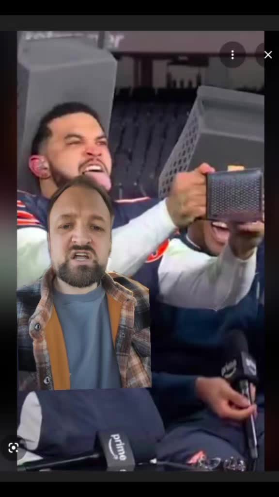 @average bears enjoyer
