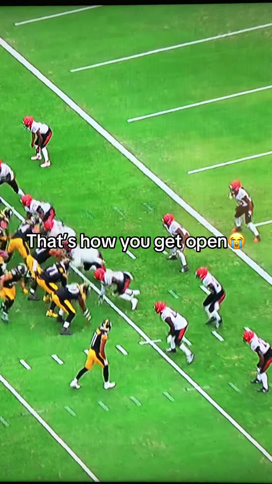 @ticooo773