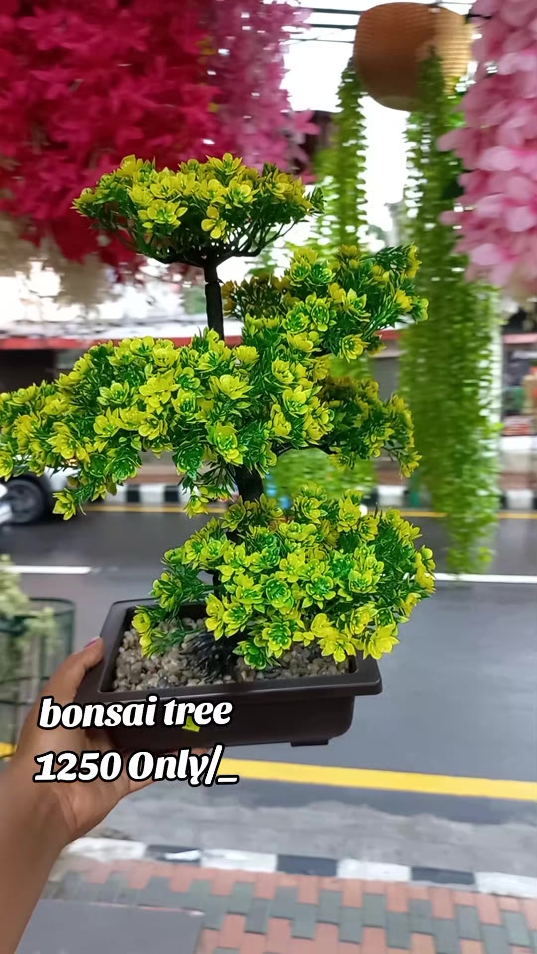 @Flora_p0int-dhumbarahi