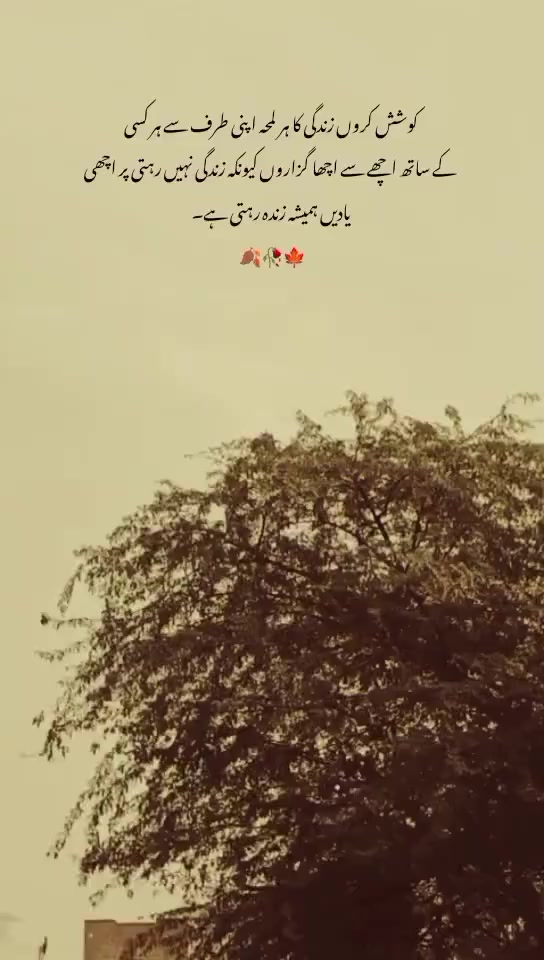 @♛ᴿᵒʸᵃˡ꧁༺𝐈𝐬𝐡𝐪 𝐳𝐚𝐝𝐚༻꧂™