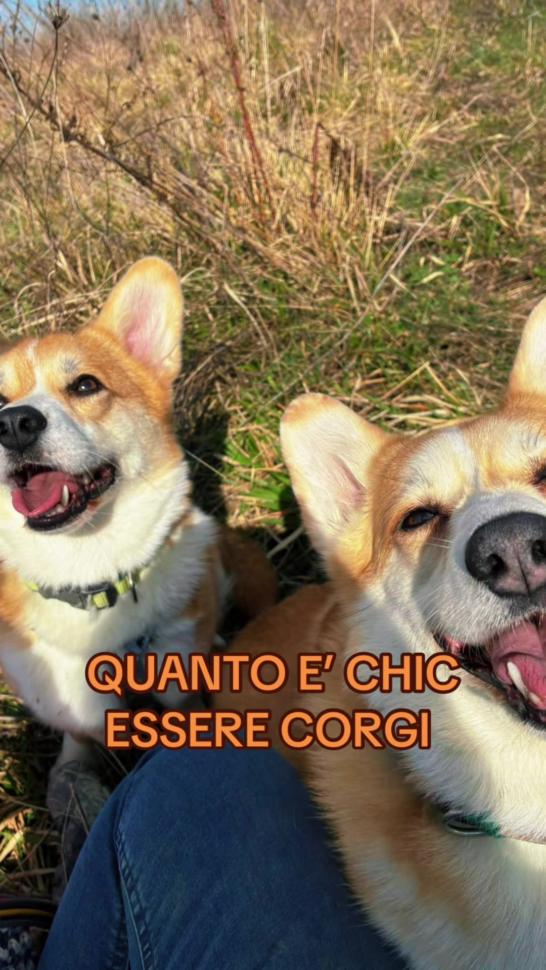 @Nadine Salomoni