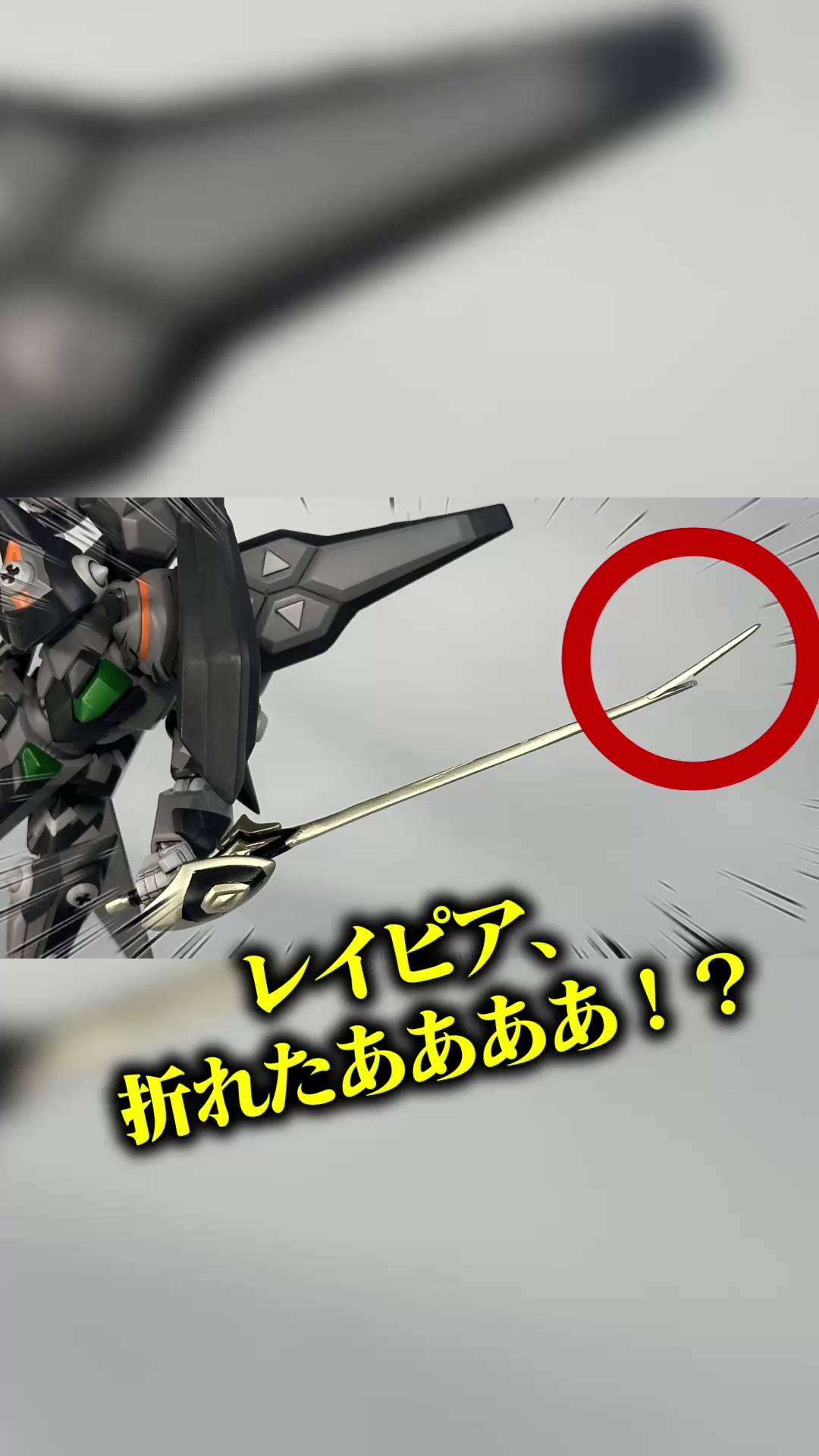 @【本物】ソルティー・ゼータスキー【どう見ても本物】