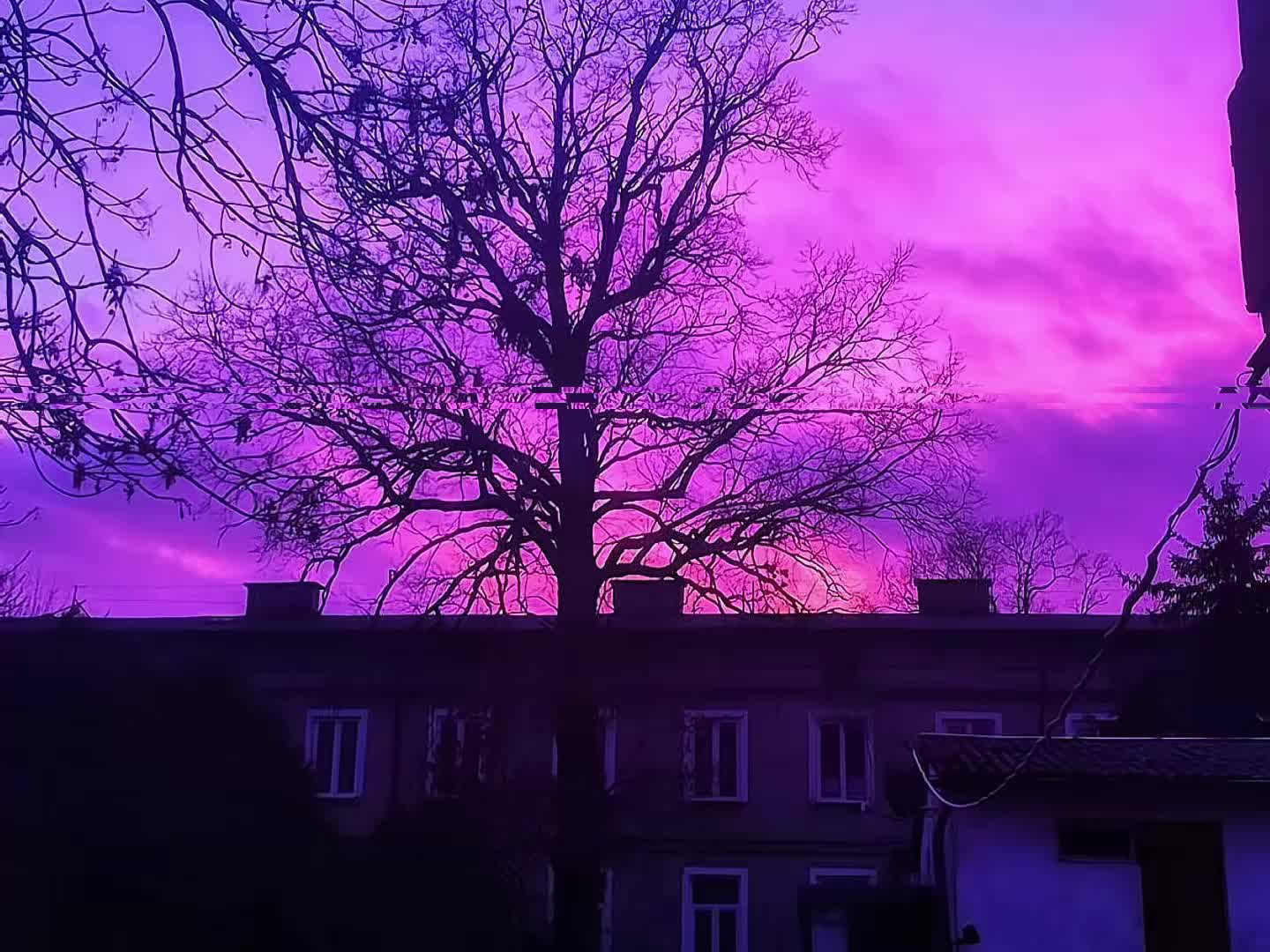 @l1k9s