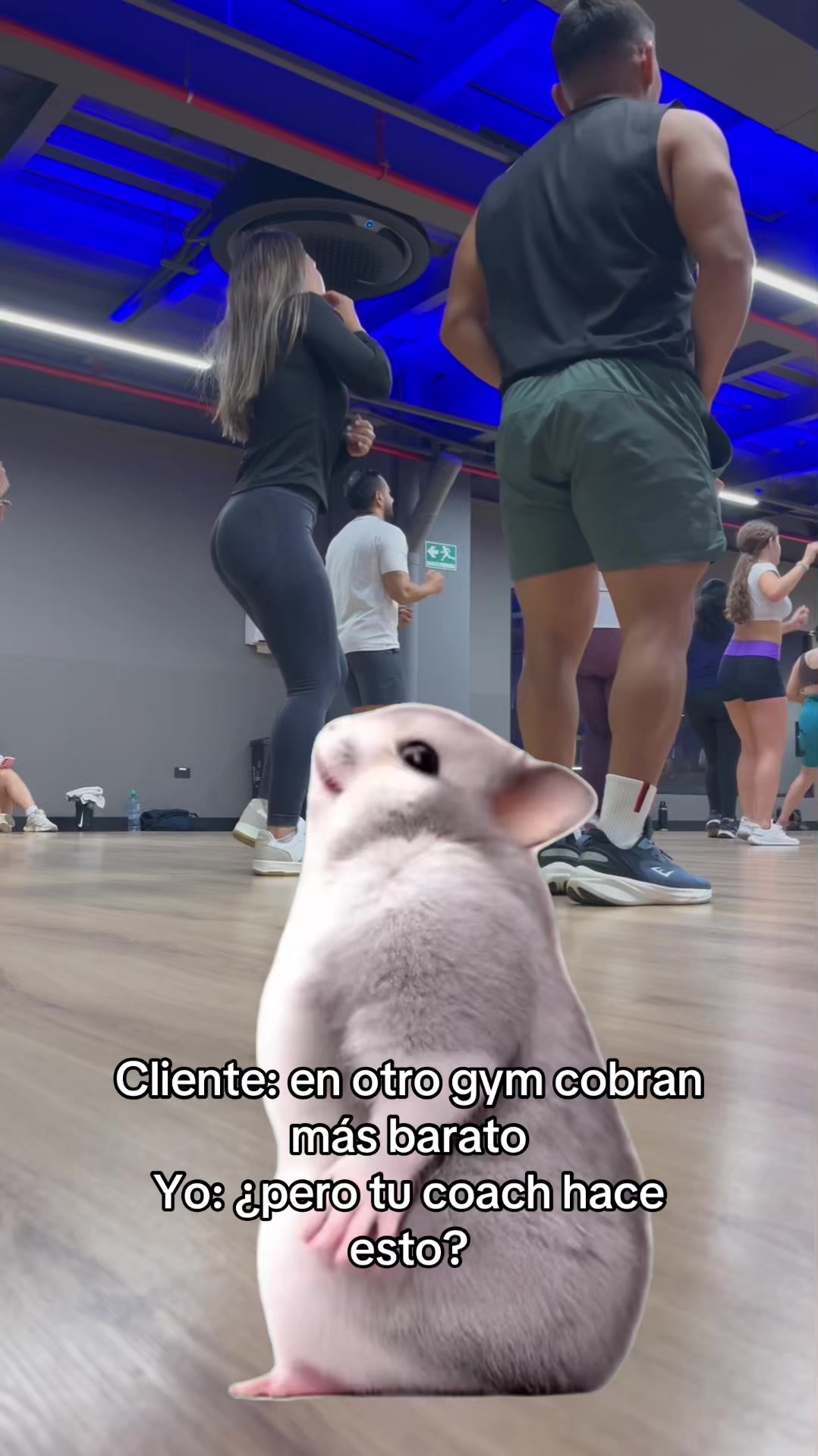 @coach_johandlc
