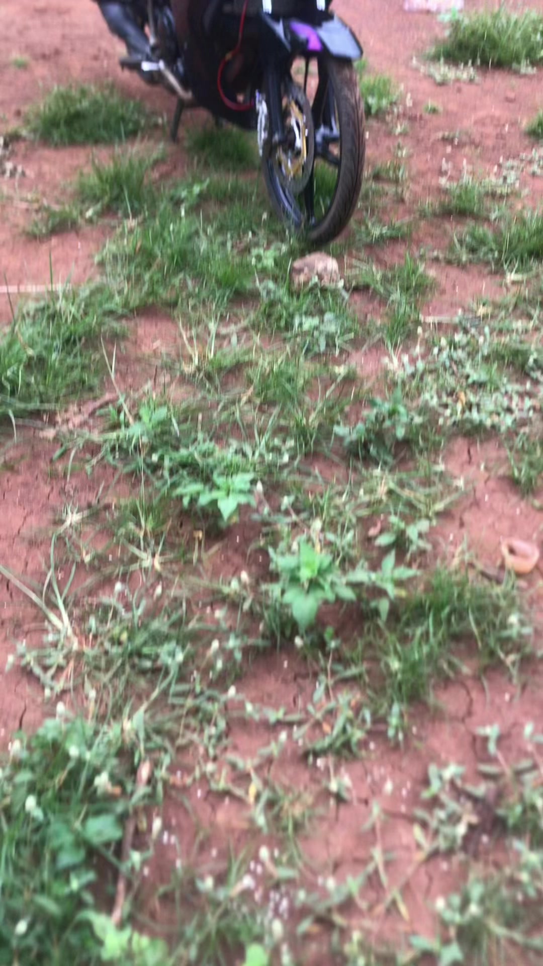 @Nguin ☘️☘️
