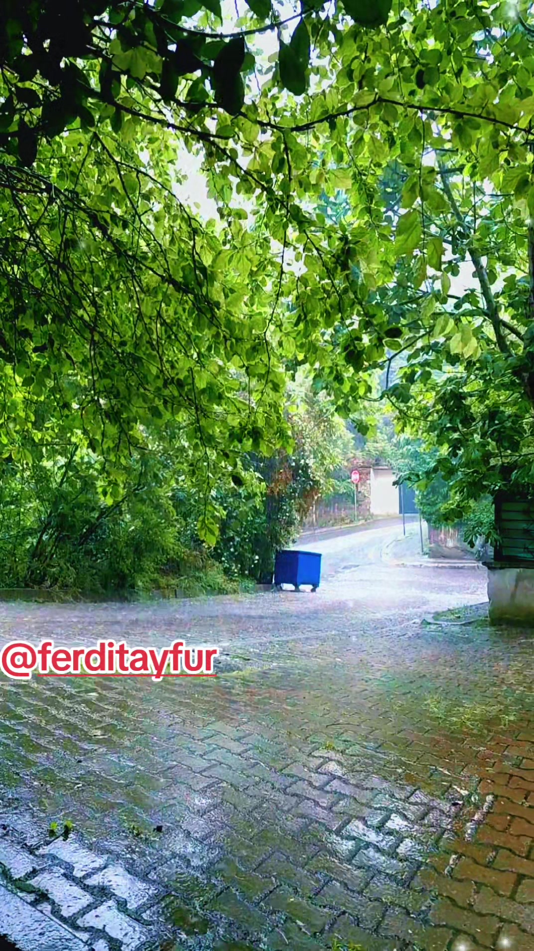@🇹🇷ESMER37<>34🇹🇷