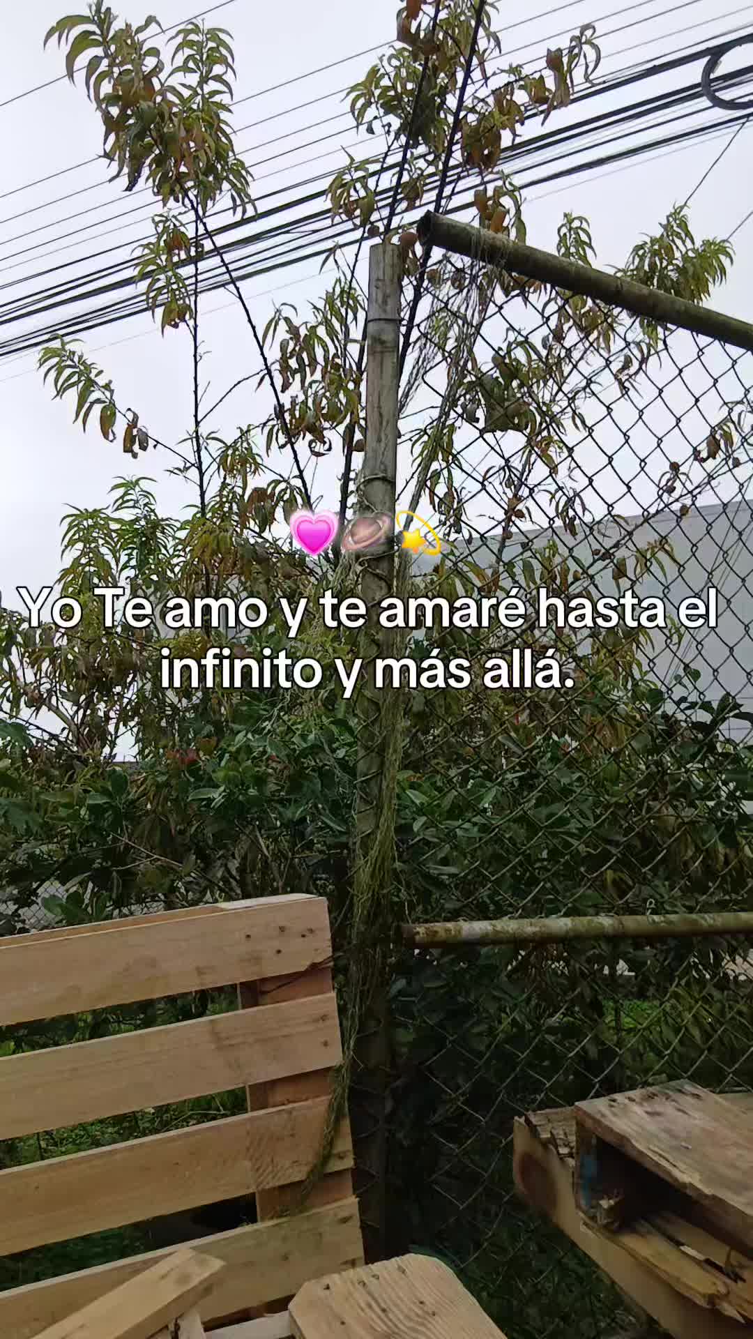 @🇳🇮🧃Osita🐼 Verdadera🧃🇨🇷