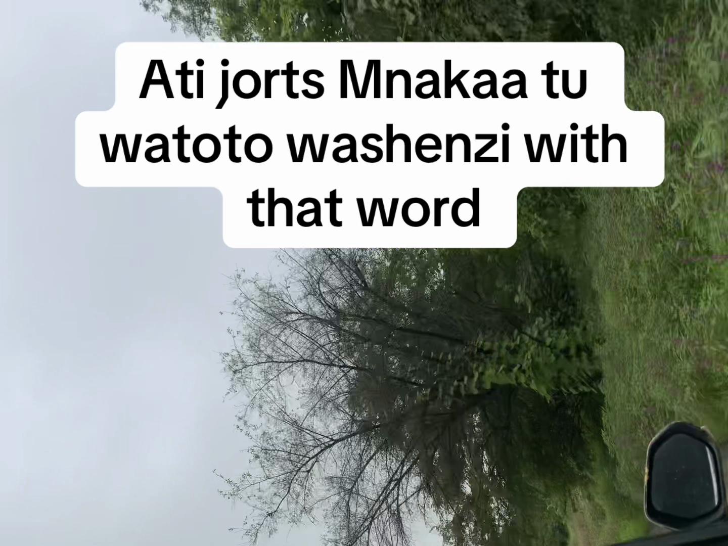 @dijo