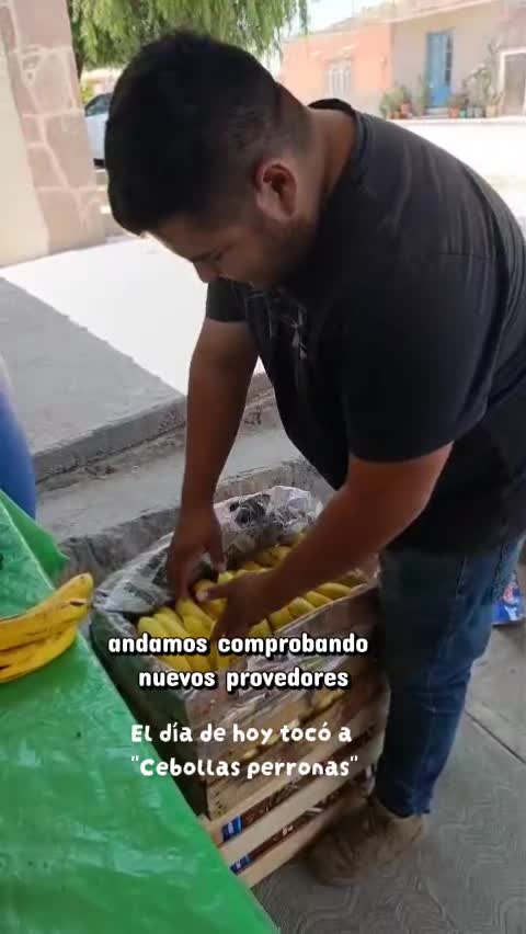 @Conecta-dos