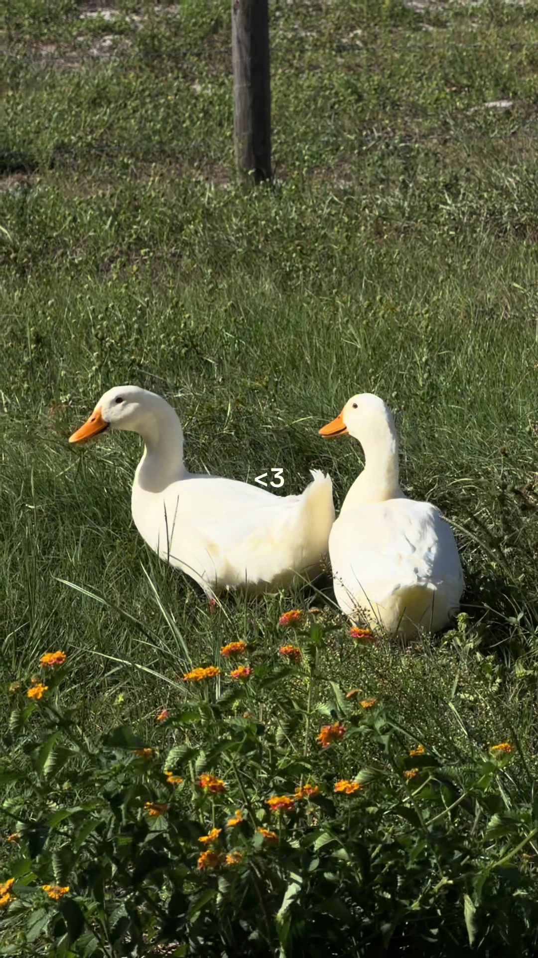 @Jamieee
