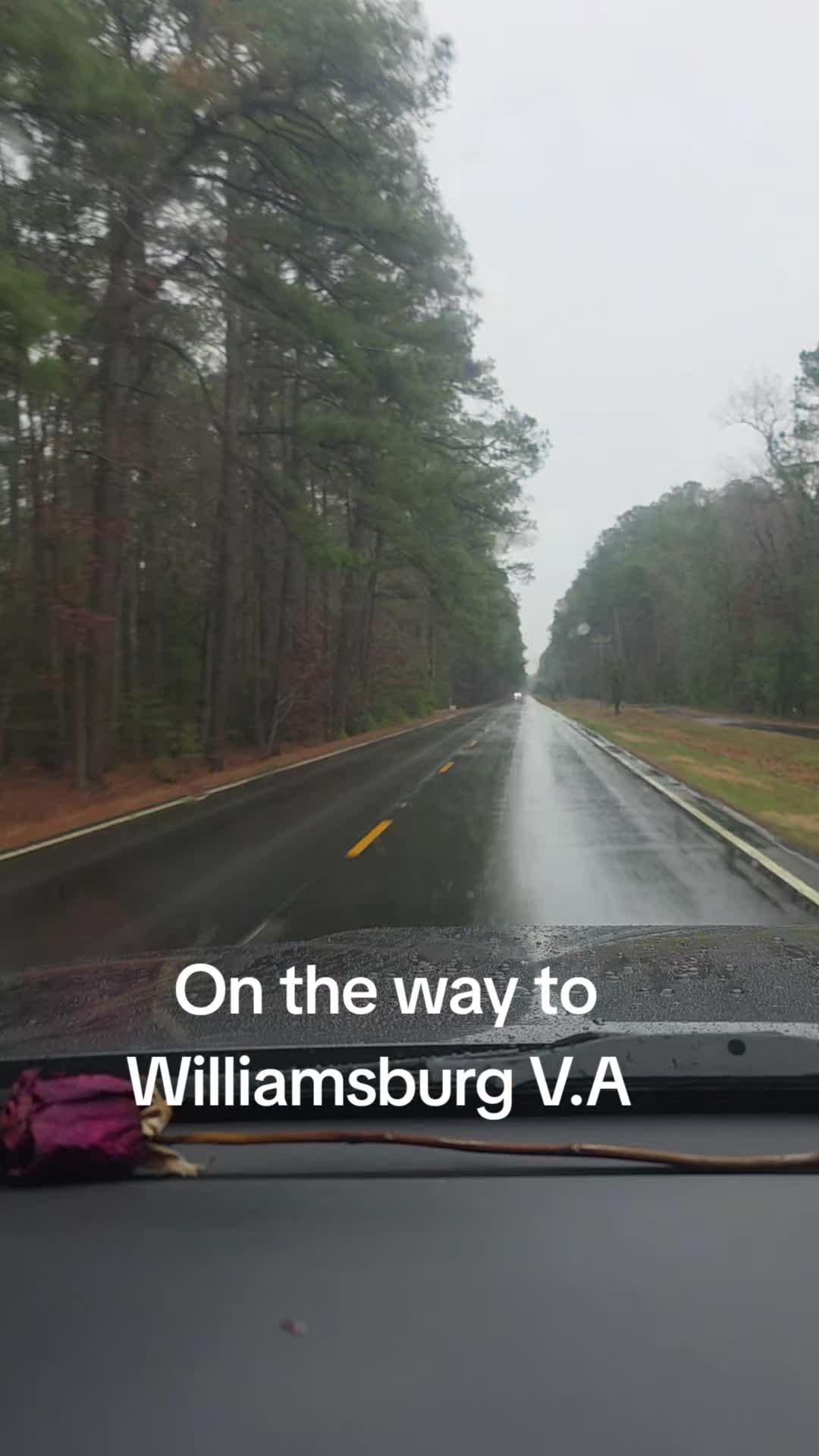 @Virginia USA 🇺🇸