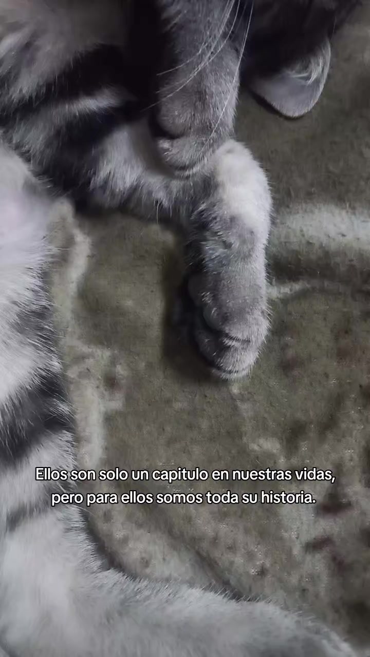 @jbv2771