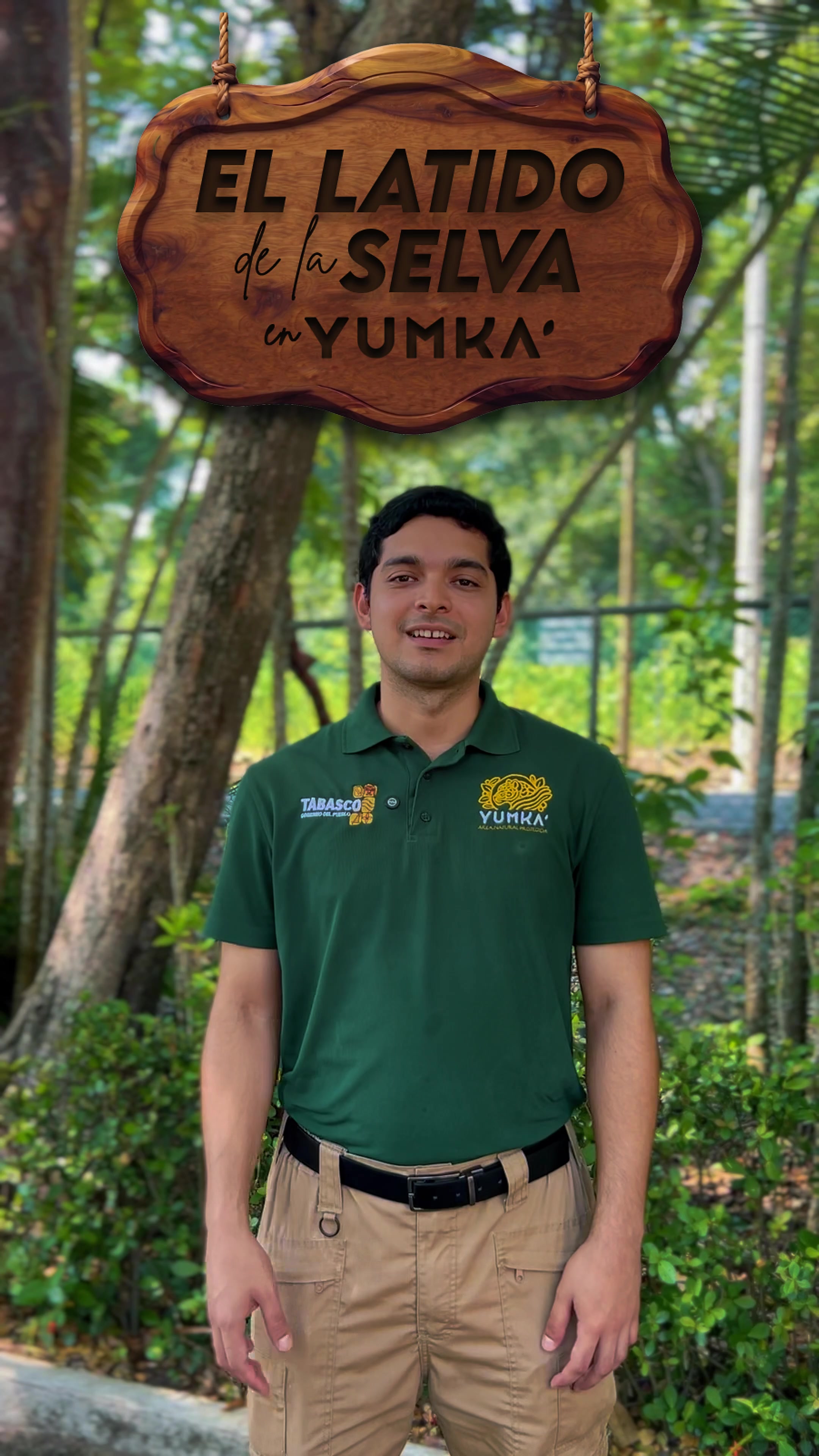 @YUMKA ANP
