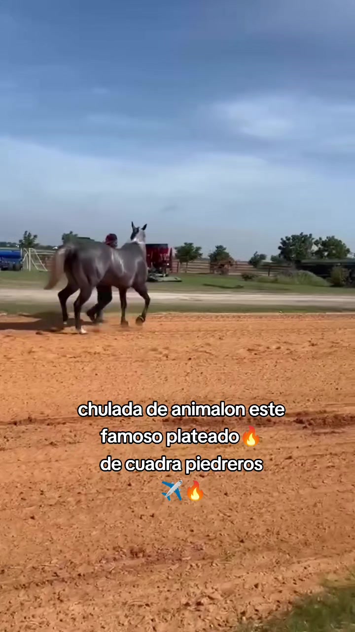 @carriles altos de jalisco🐎