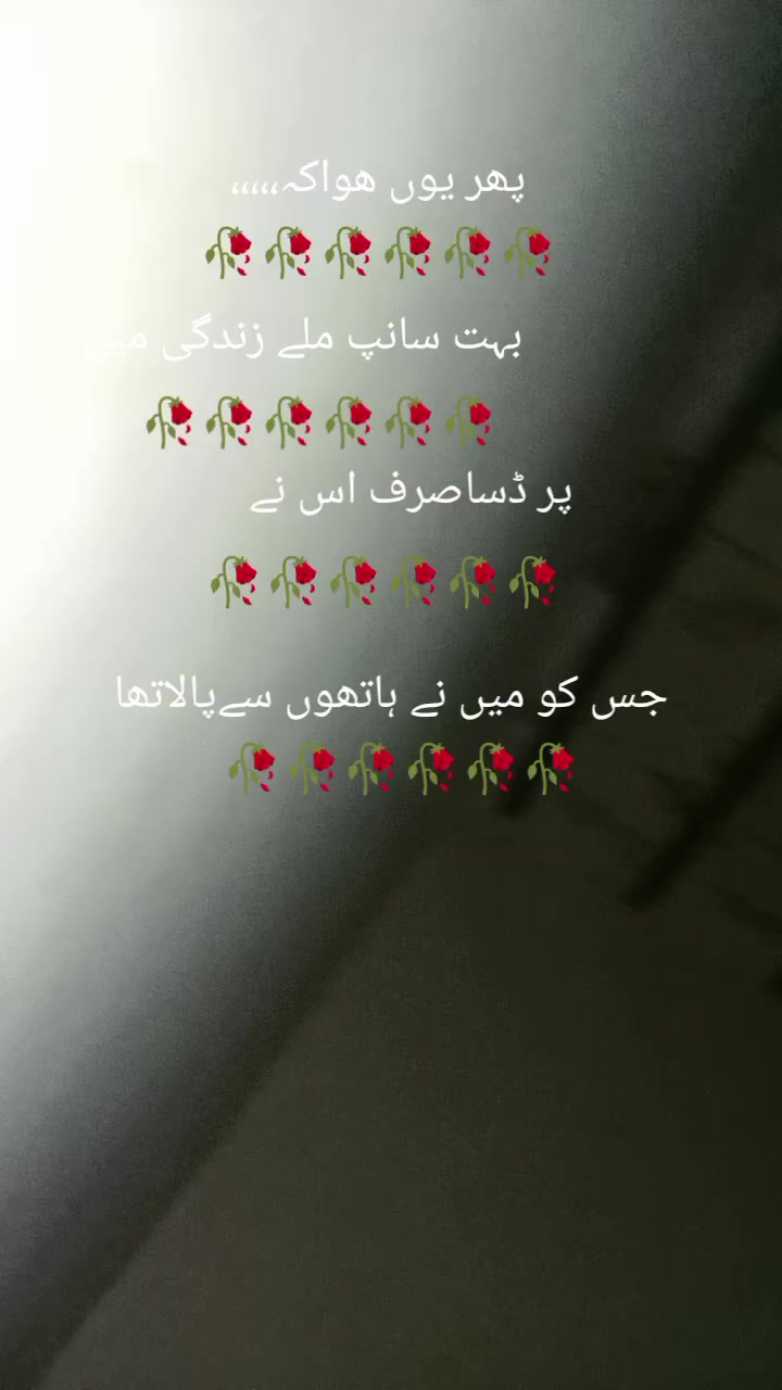 @Ayesha teacher