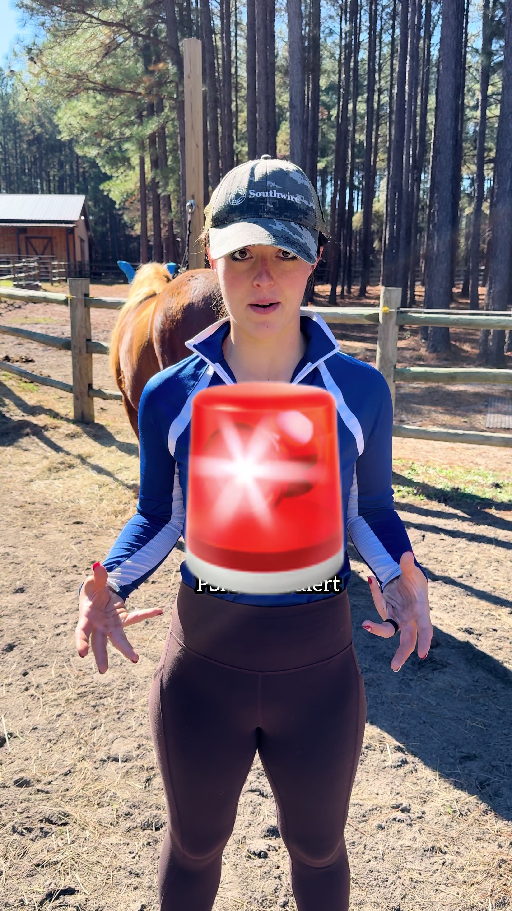 @TheSouthernHorsegirl