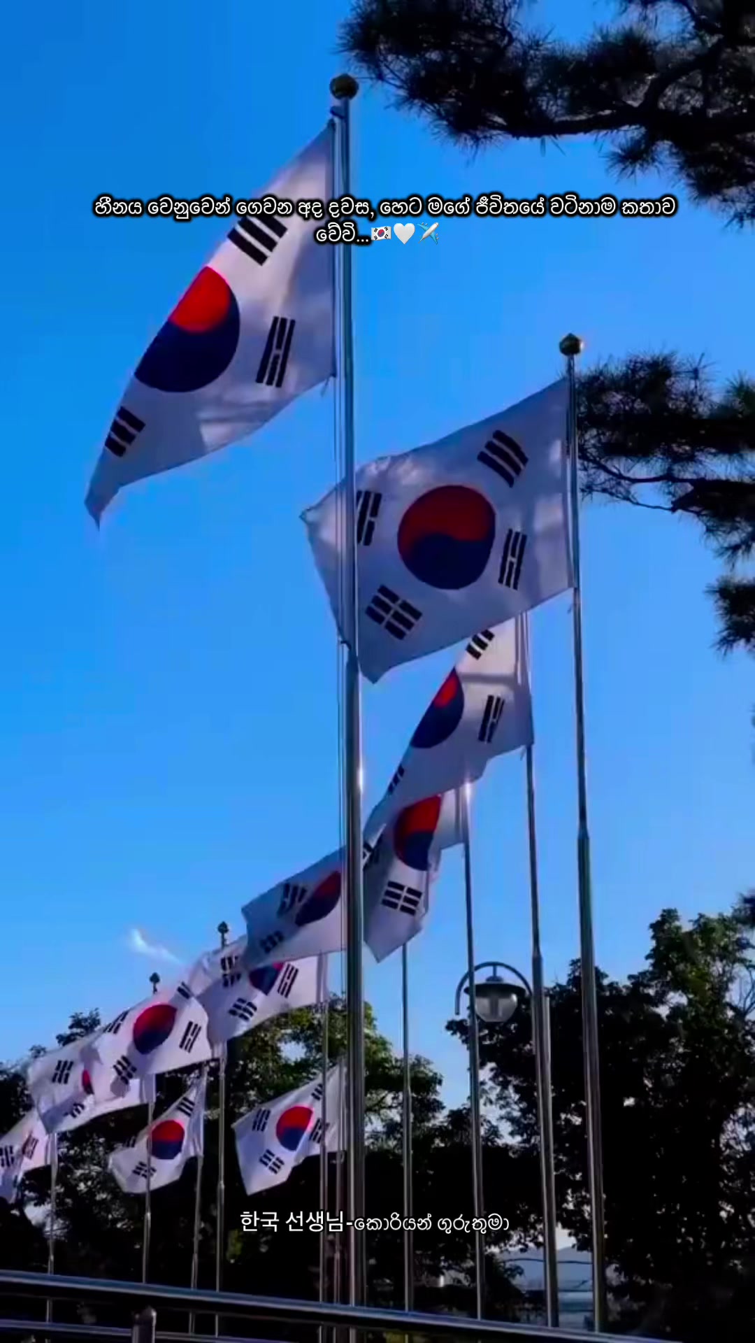 @한국 선생님 -කොරියන් ගුරුතුමා