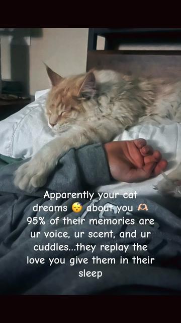 @Sonnyboy 🐈 Staci RN
