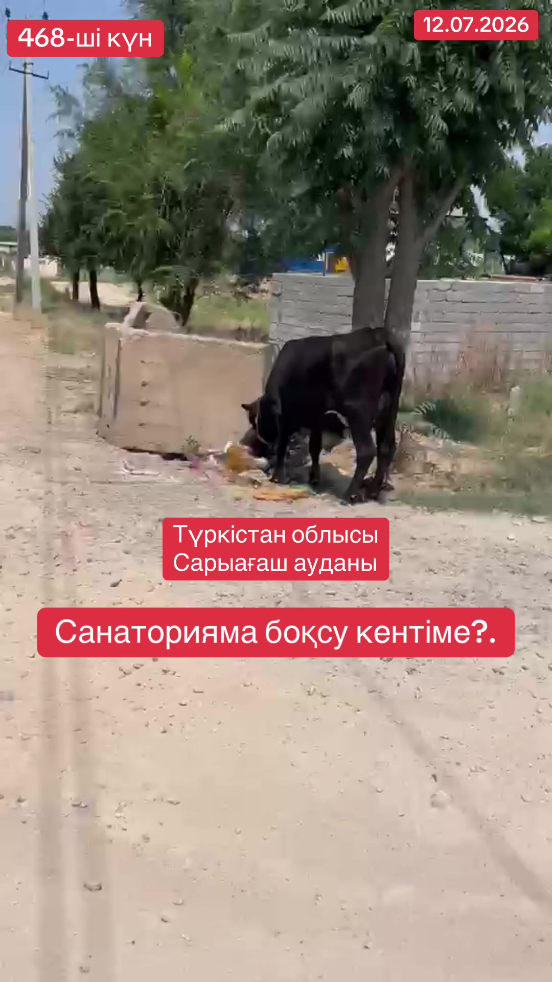 @Айбек