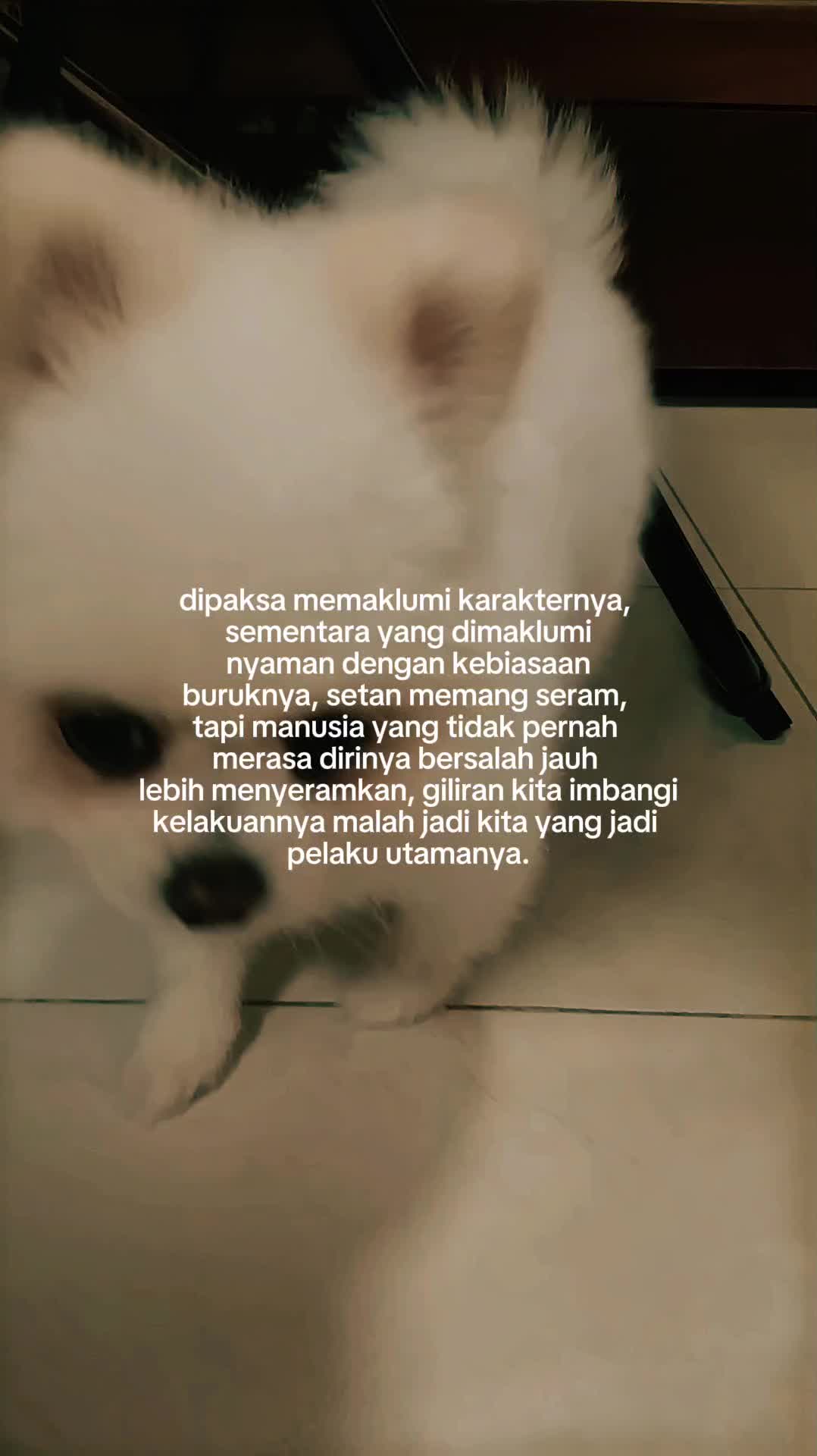 @it's Me Fafa