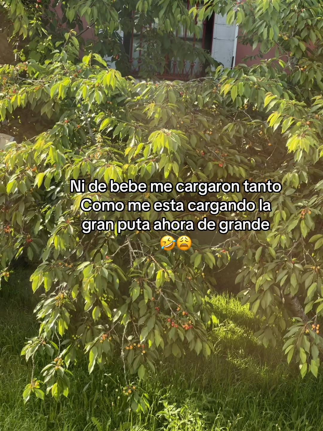 @flakita aly♋️🇪🇸🇬🇹