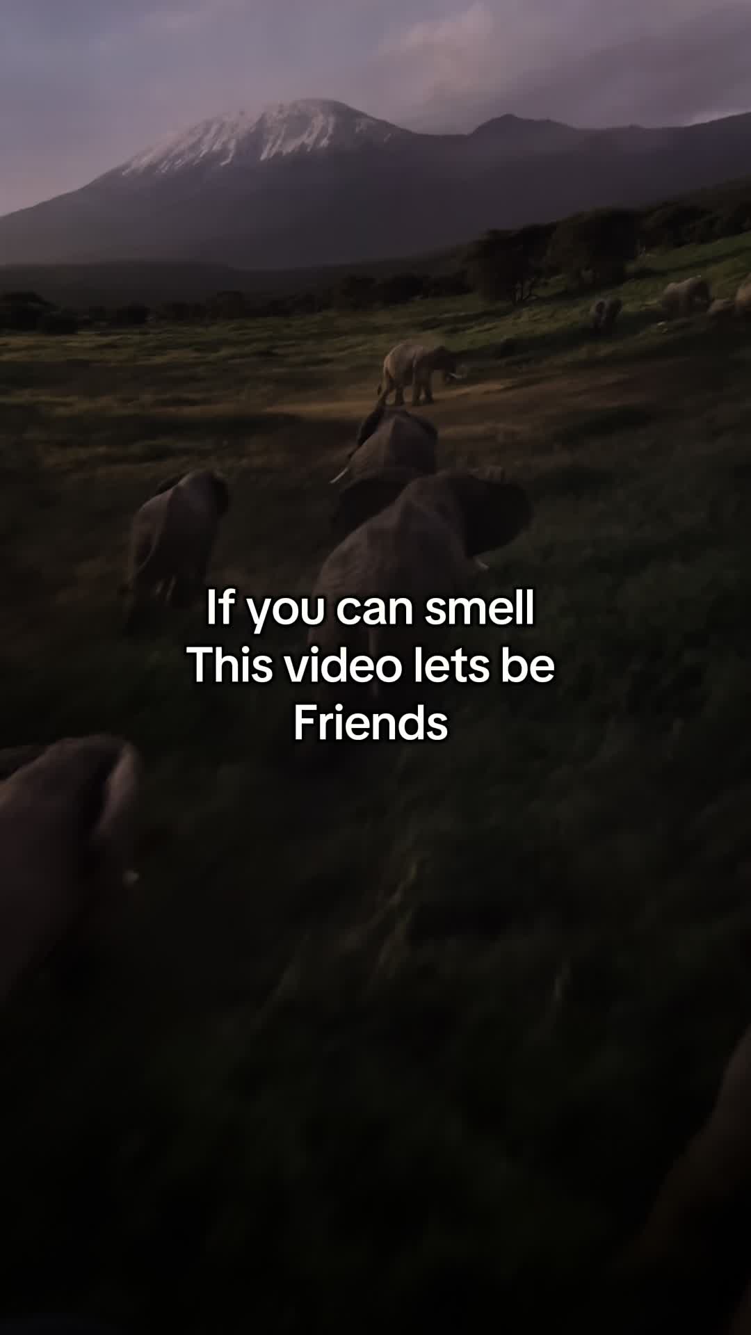 @DisneySarah23