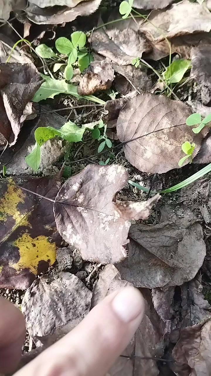 @ирунчик