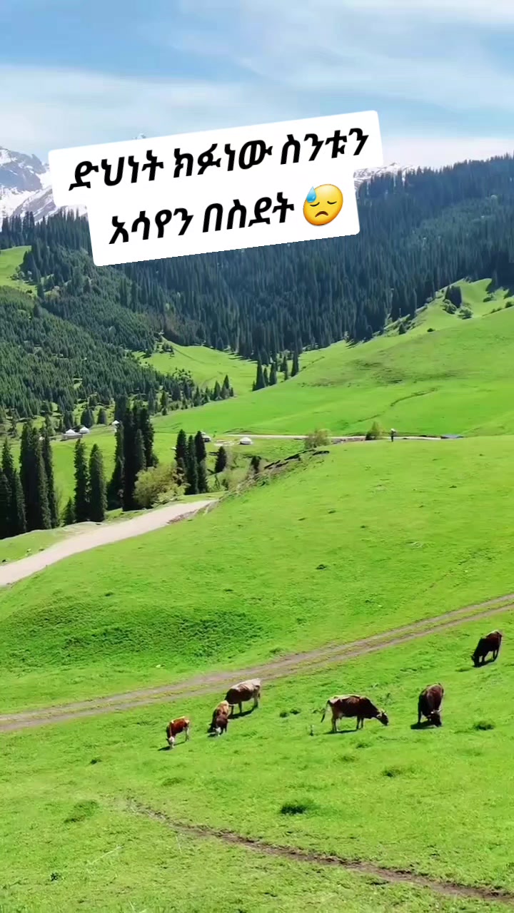 @AMiNA🕊