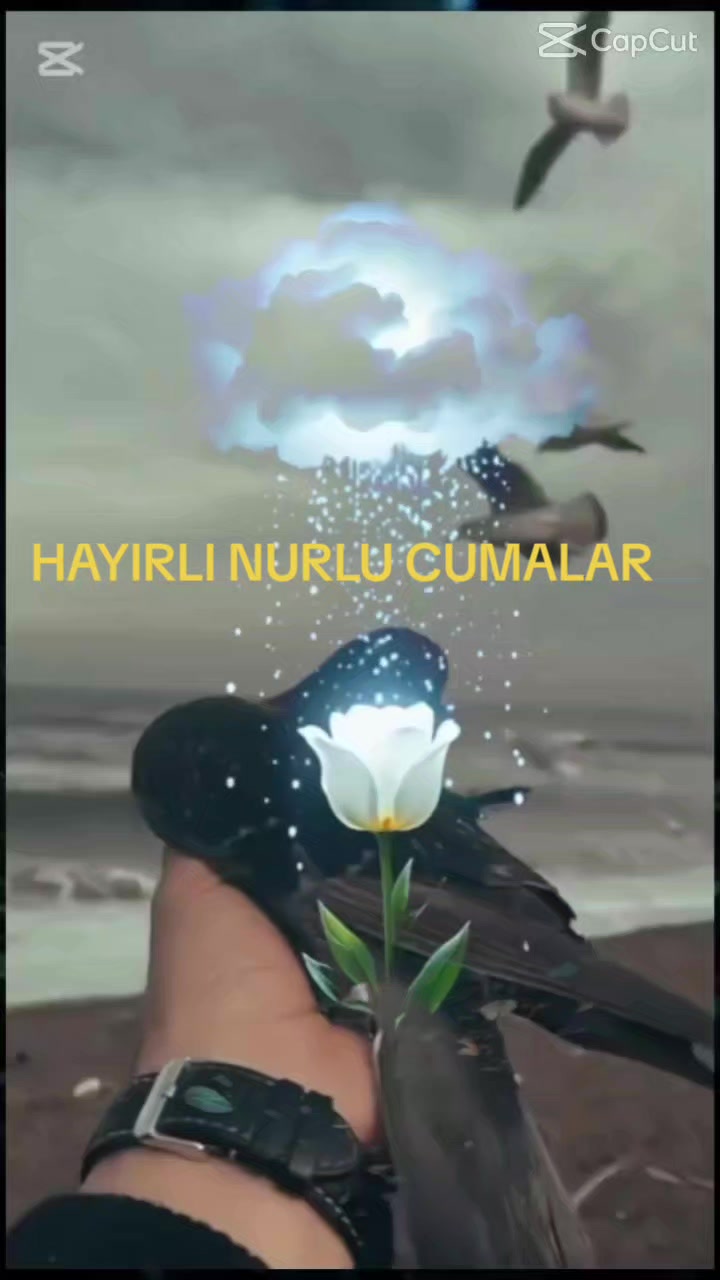 @Hasan Yılmaz