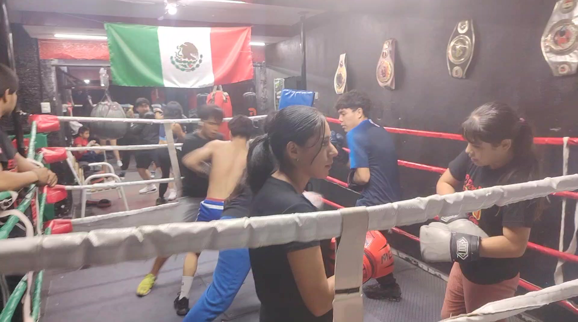 @Carreras Boxing Master
