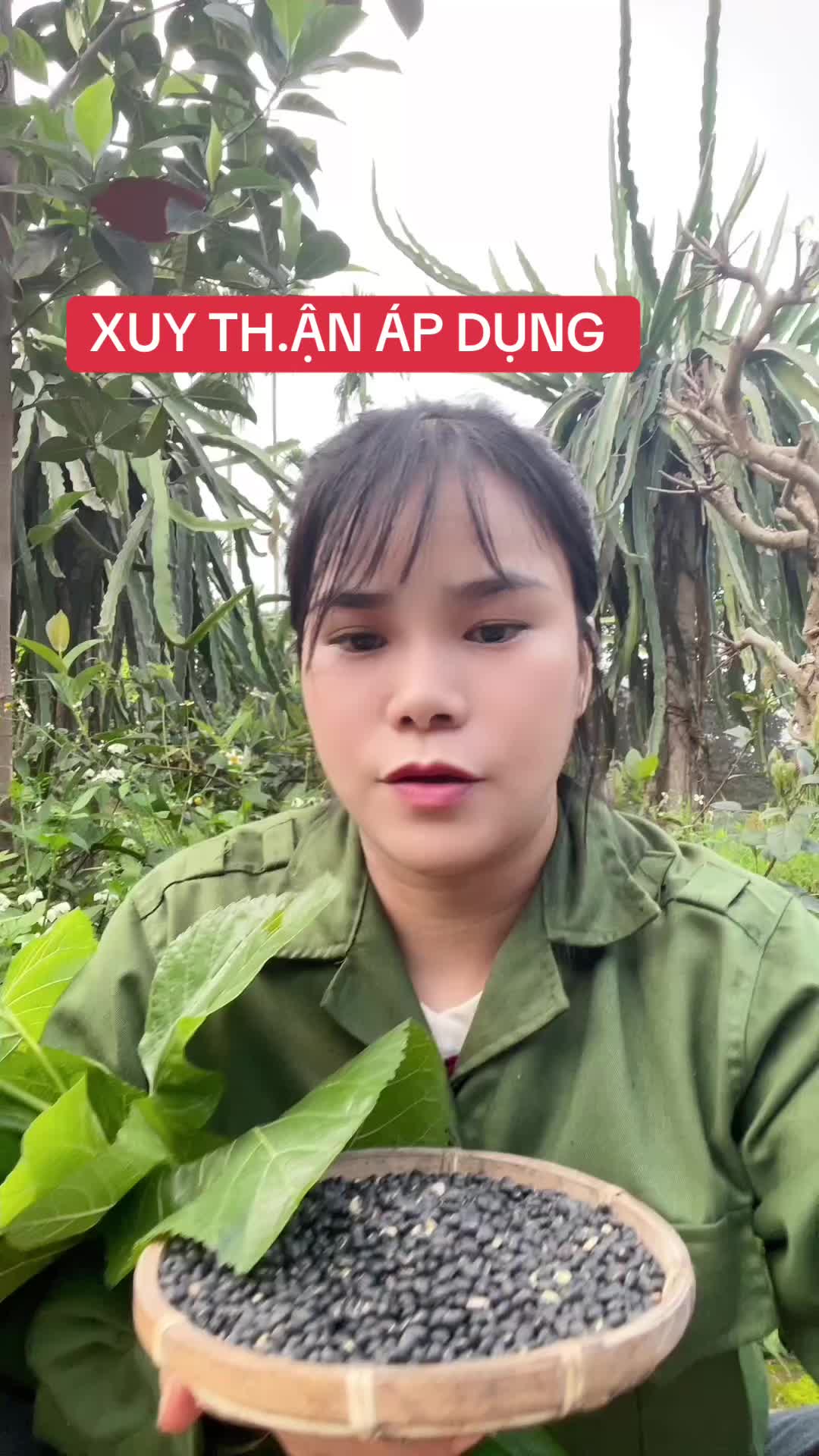 @Ngọc Chinh Miền Núi