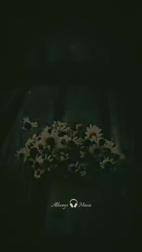 @𝘼𝙡𝙬𝙖𝙮𝙨 🎧 𝙈𝙪𝙨𝙞𝙘