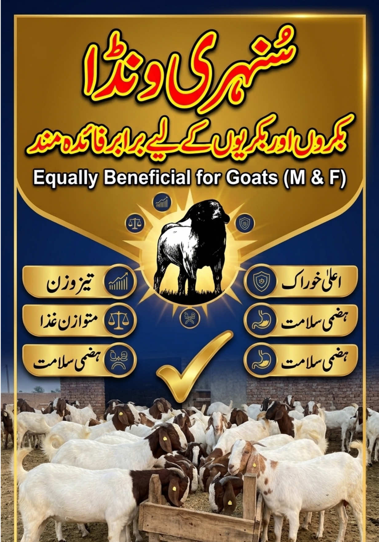 @Dr.Mohsin