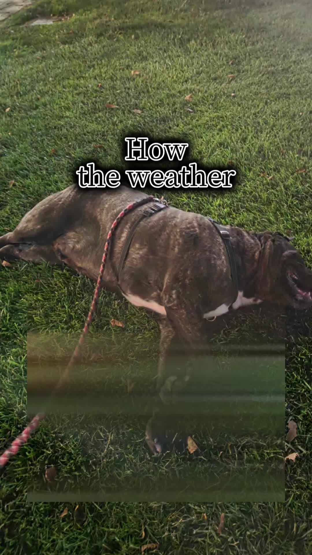 @๐ A S H L E Y ๐