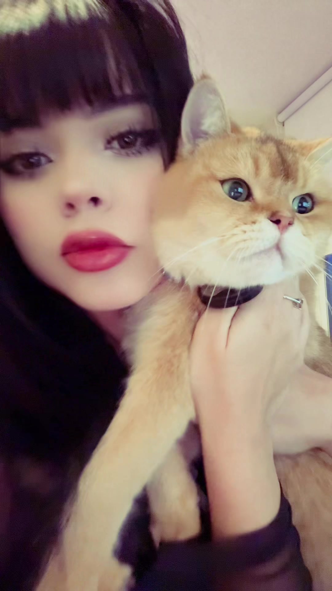 @Chxrryxblossom
