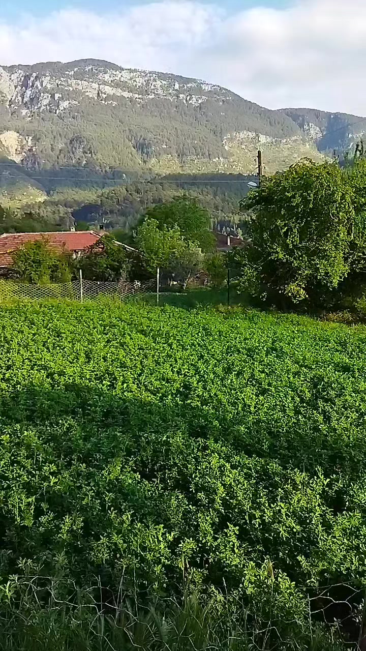 @Güler Kaya