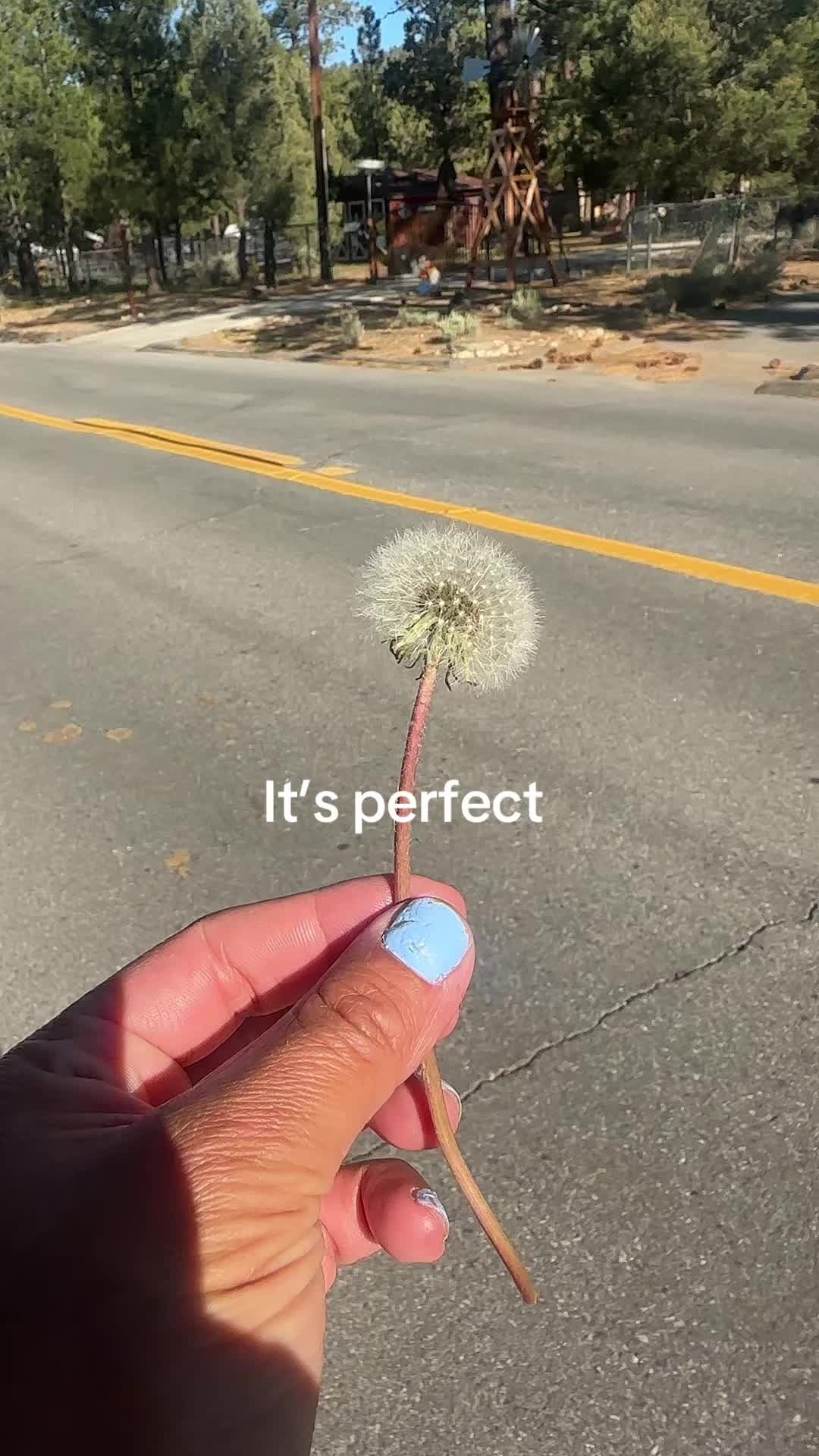 @Lavenderhazzeyy