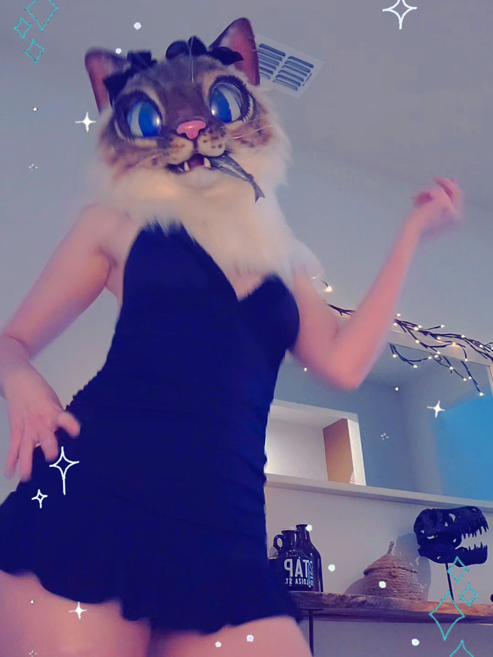 @˖°SmittenKitten⋆˚